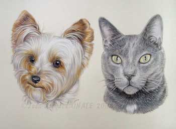 portrait double des animaux de compagnie Victor et Golfi au crayon de couleur